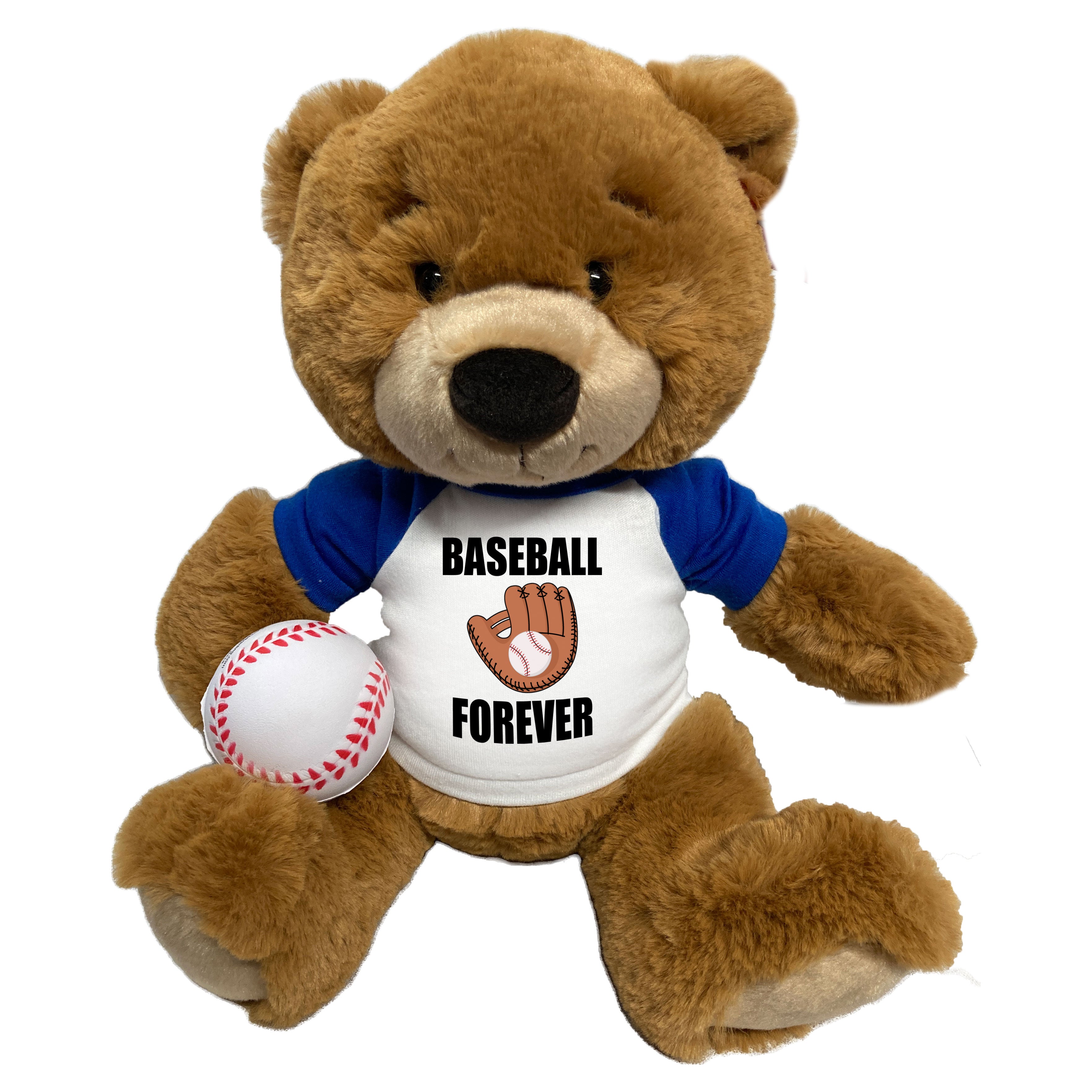 Baseball best sale teddy bear