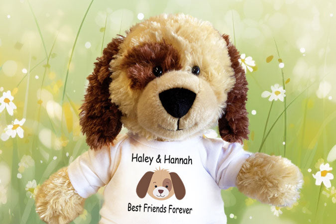 Personalized Stuffed Animals and Teddy Bears for any occasion