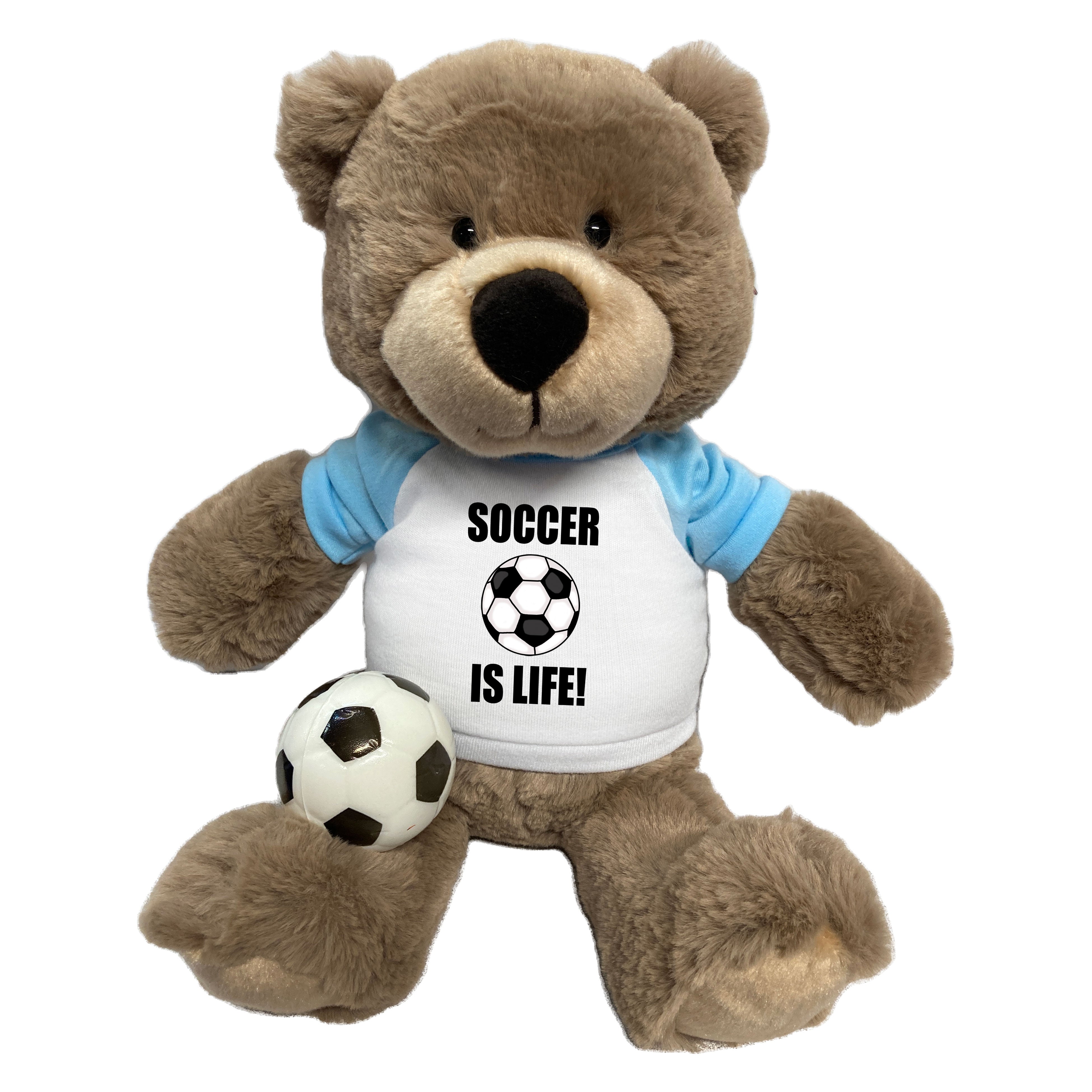 Soccer teddy shop bear