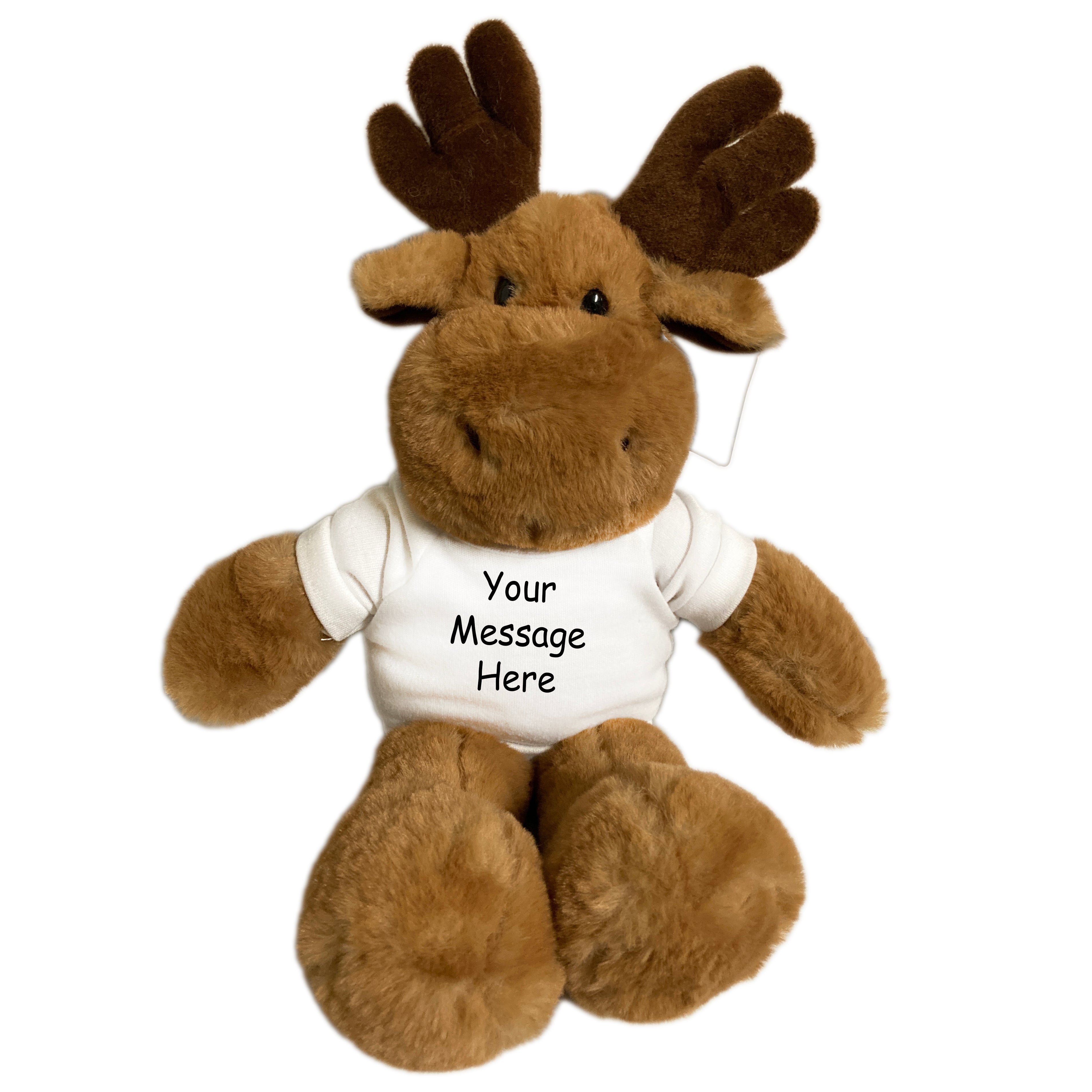 Moose deals teddy bear